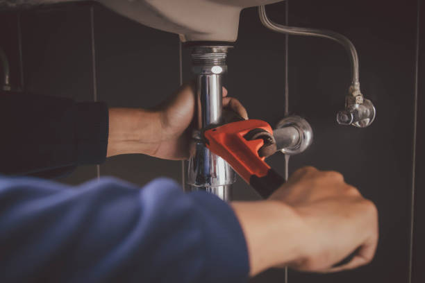 Best Commercial Plumbing Services  in Three Rivers, MI